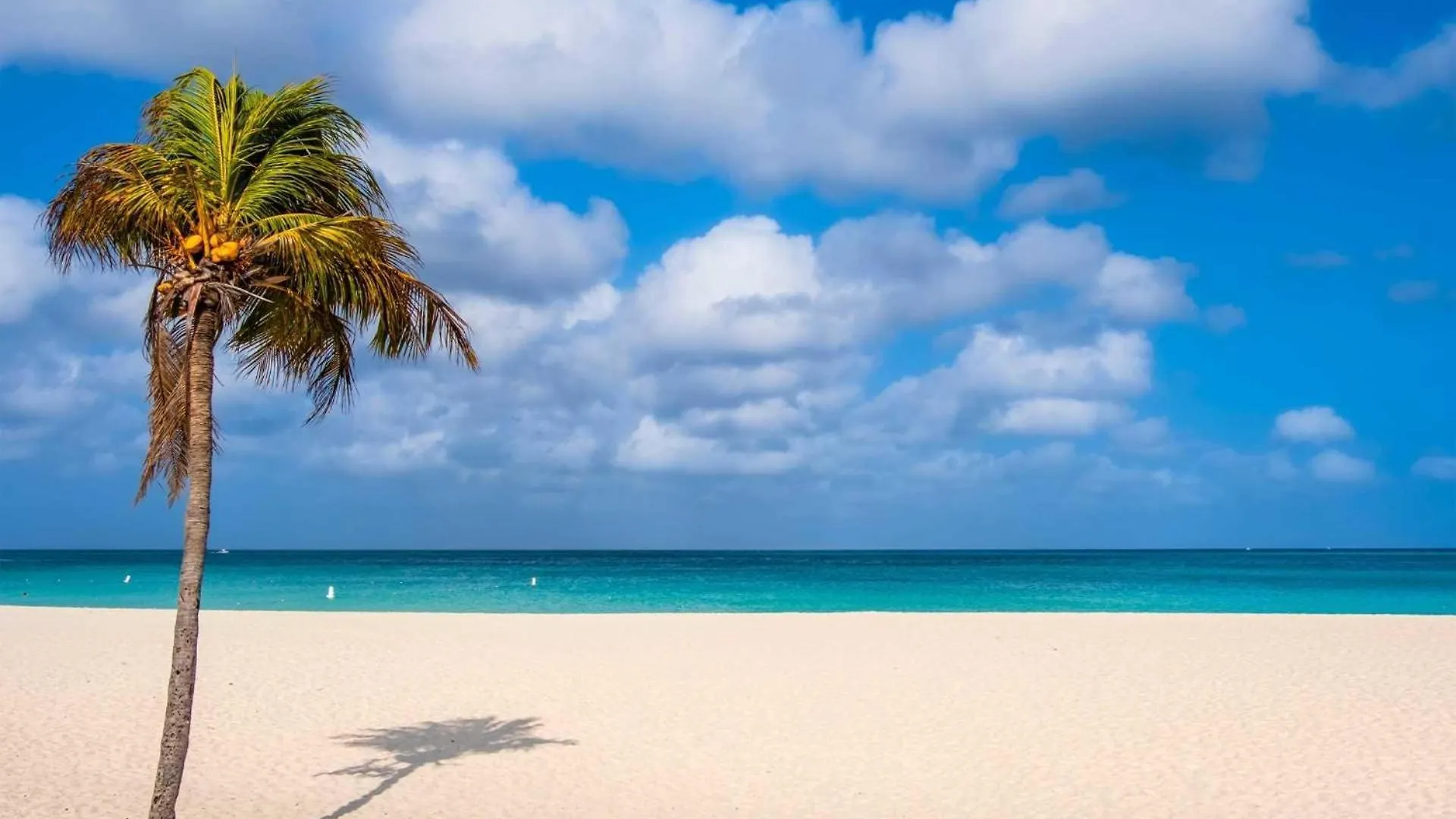 Σπίτι διακοπών Beachfront - Brisas Del Mar 2Br Condo - E324 Παλμ Μπιτς