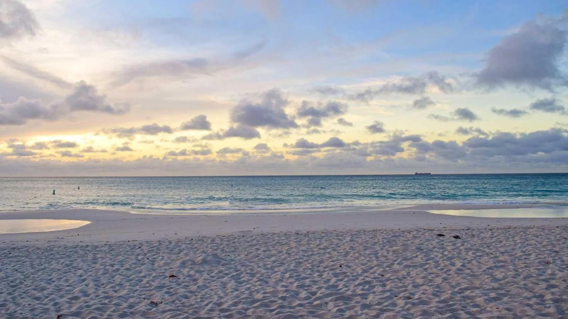 Beachfront - Brisas Del Mar 2Br Condo - E324 Παλμ Μπιτς 0*,