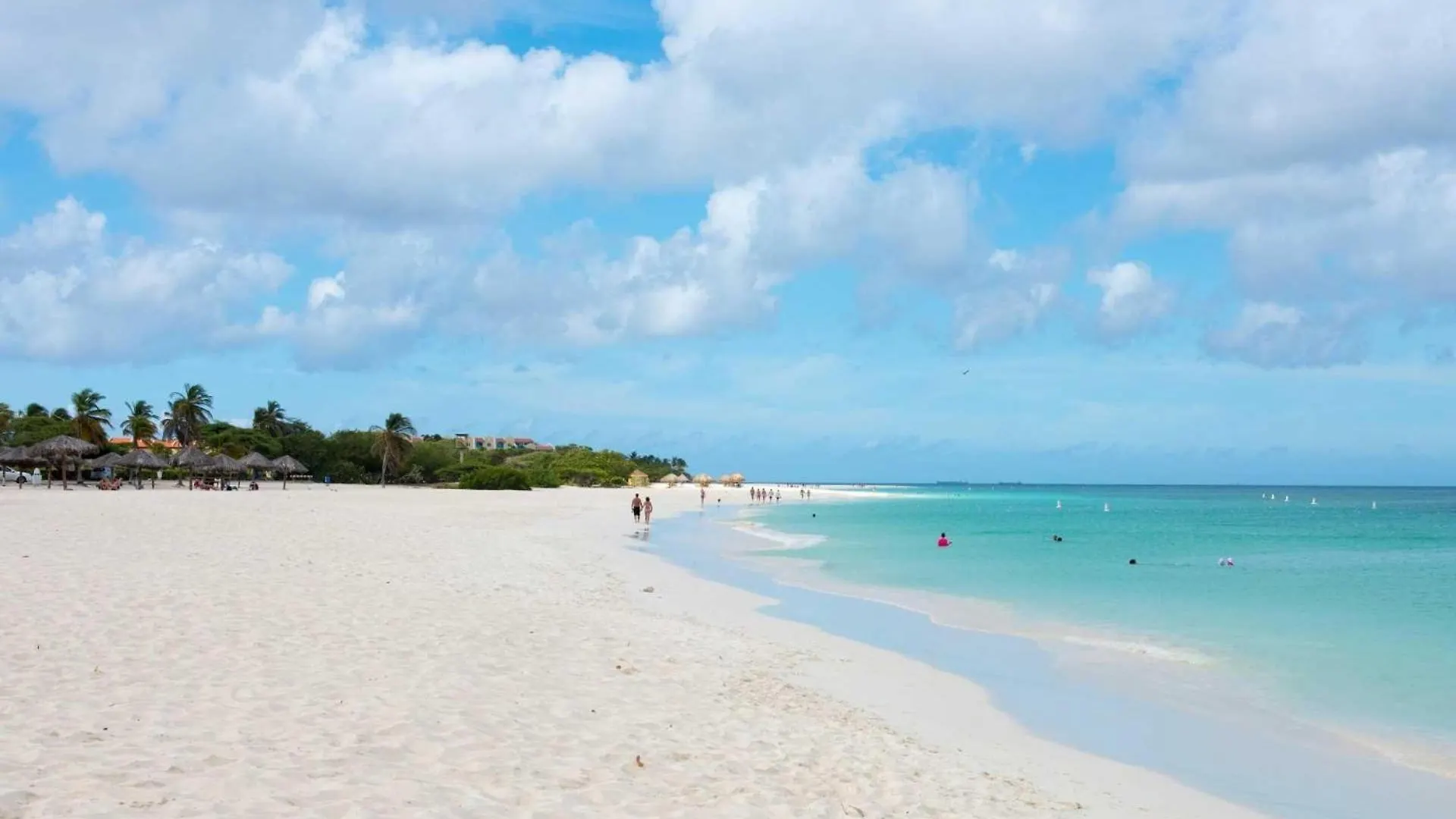 Beachfront - Brisas Del Mar 2Br Condo - E324 Παλμ Μπιτς Σπίτι διακοπών