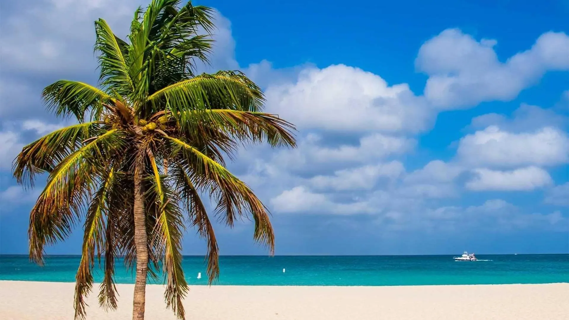 Beachfront - Brisas Del Mar 2Br Condo - E324 شاطئ بالم 0*,  أروبا